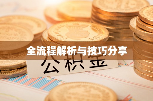 枣阳全流程解析与技巧分享